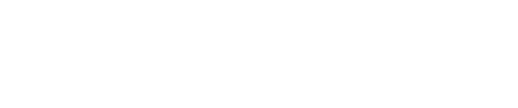 F1 Solution