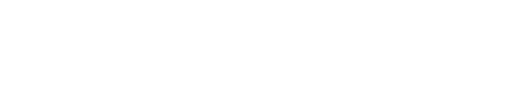 F1 Solution
